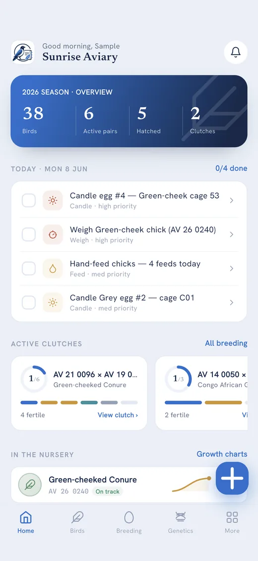 AviLedger home screen showing today's tasks and flock summary