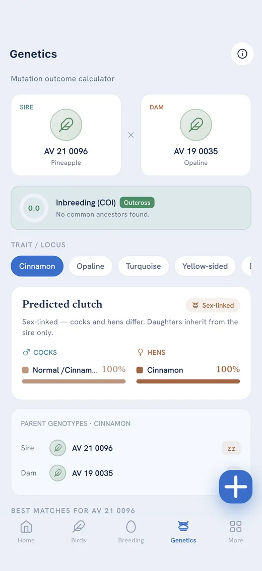 Genetics pairing predictions for a breeding pair